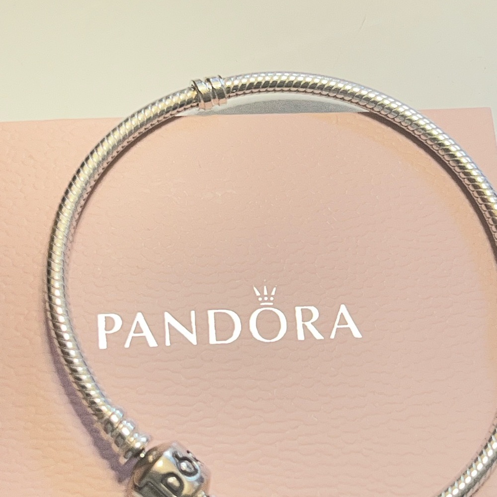 PANDORA Silver Snake Chain Charm Bracelet - Classic Silver - Picture 5 of 5